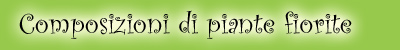 Composizioni di piante fiorite